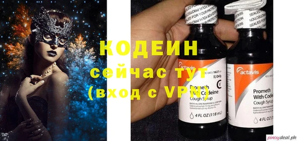 дмт Болотное